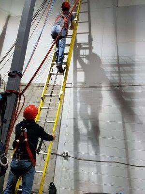 Formation sur l'utilisation des échelles et des escabeaux
