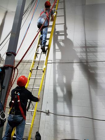 SAFE USE OF LADDERS - (4 h) course image